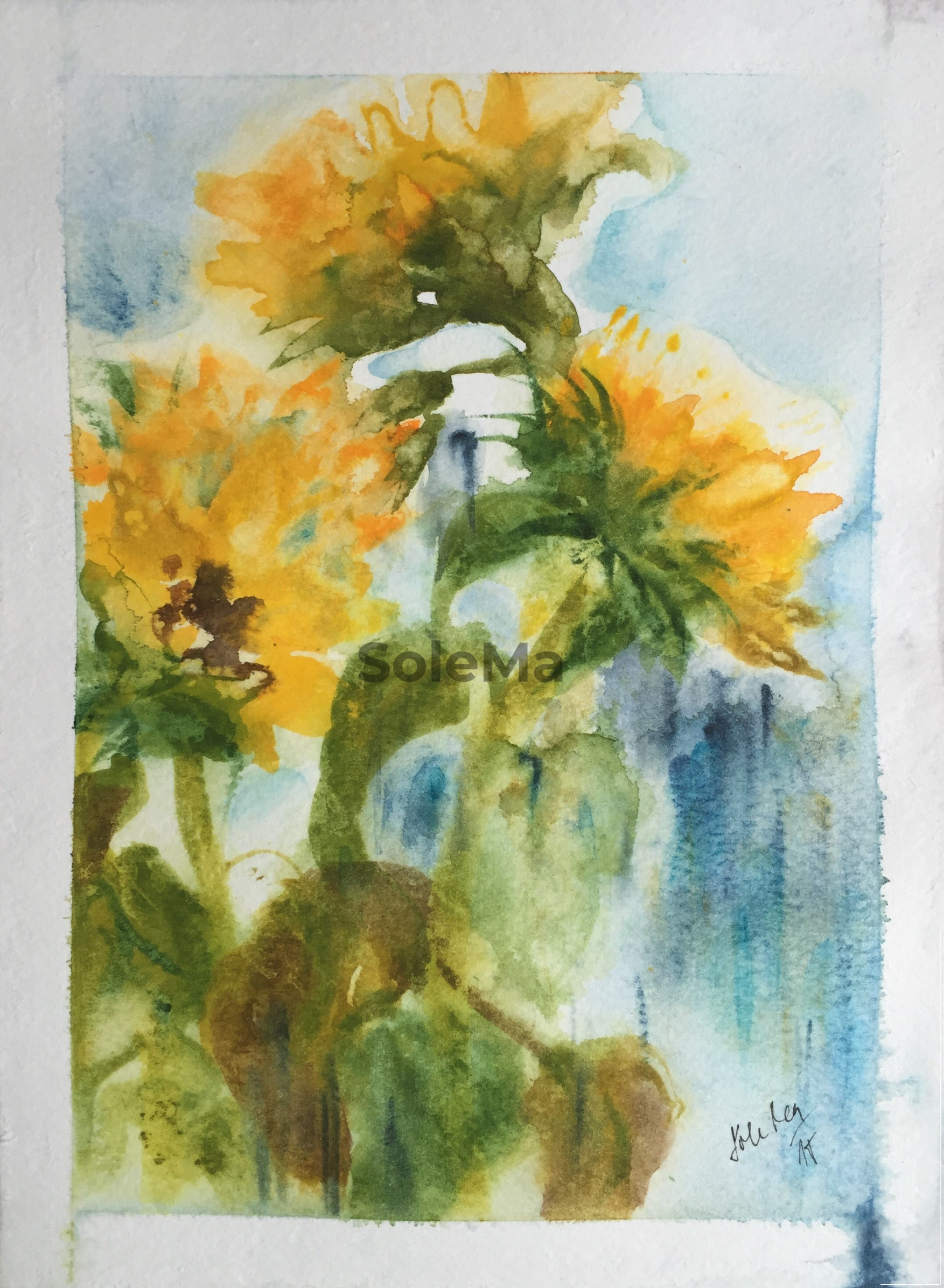 I love sunflowers II