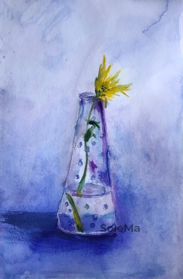 Yellow Chrysanthemum in a vase.